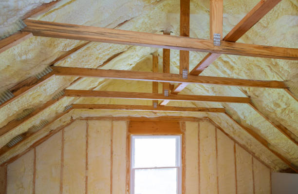 Best Wall Insulation Contractor  in Sinton, TX